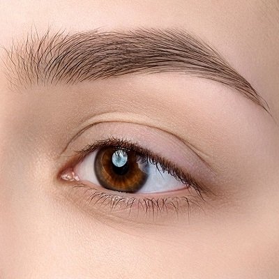 Eyebrow Hair Transplant Dubai